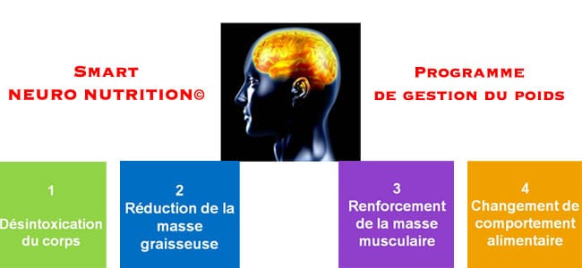 Le Programme Smart Neuro-Nutrition© qu’est-ce que c’est?