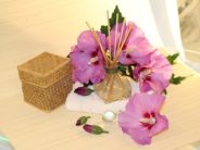 Triphala: L’Ayurveda qui purifie et détoxifie les intestins