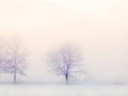 5 Aliments à privilégier cet hiver !