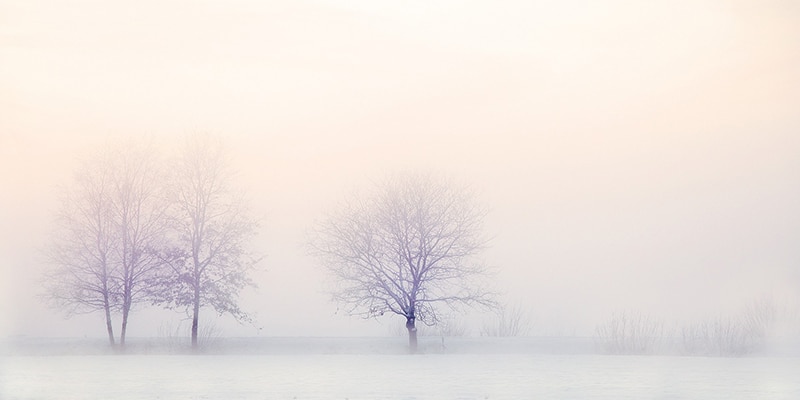 5 Aliments à privilégier cet hiver !