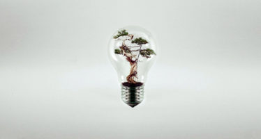 Comment avancer vers le bonheur ?