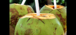 8 bonnes raisons de boire de l’eau de noix de coco