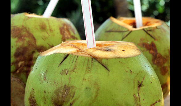 8 bonnes raisons de boire de l’eau de noix de coco